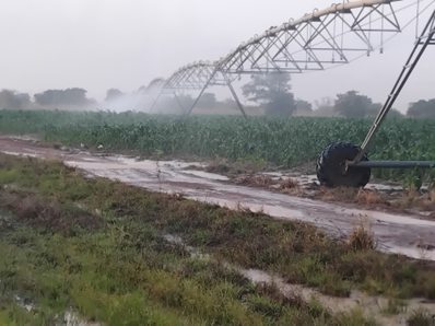 One of the centre pivot irrigation systems in operation